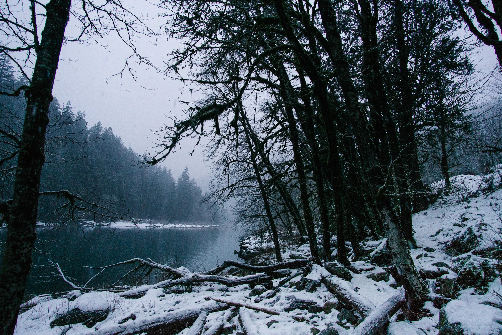 Snow-covered shoreline beside a calm river with bare trees and a misty evergreen forest beyond