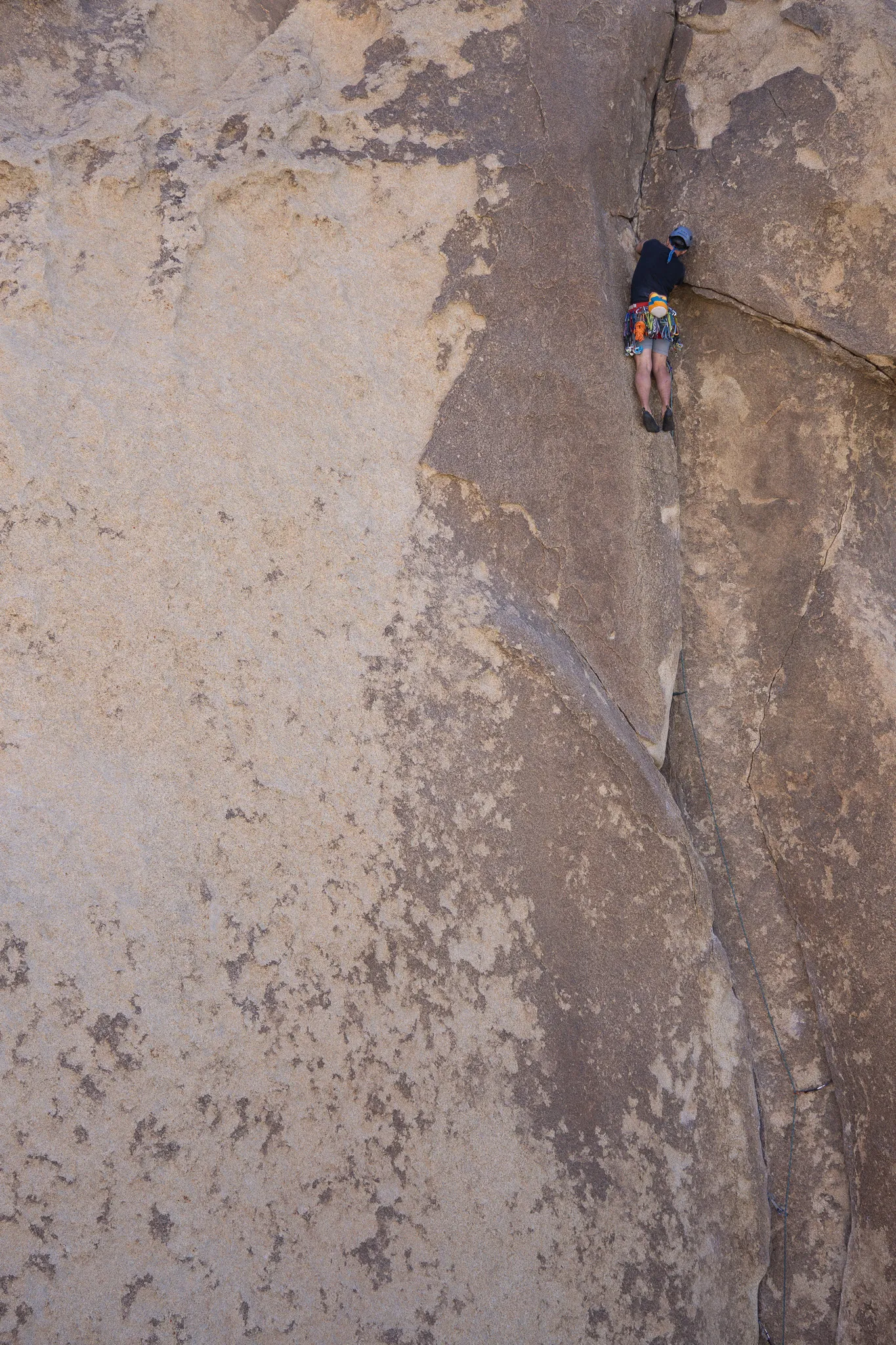 Climber ascending a vertical crack on a textured granite wall in Joshua Tree