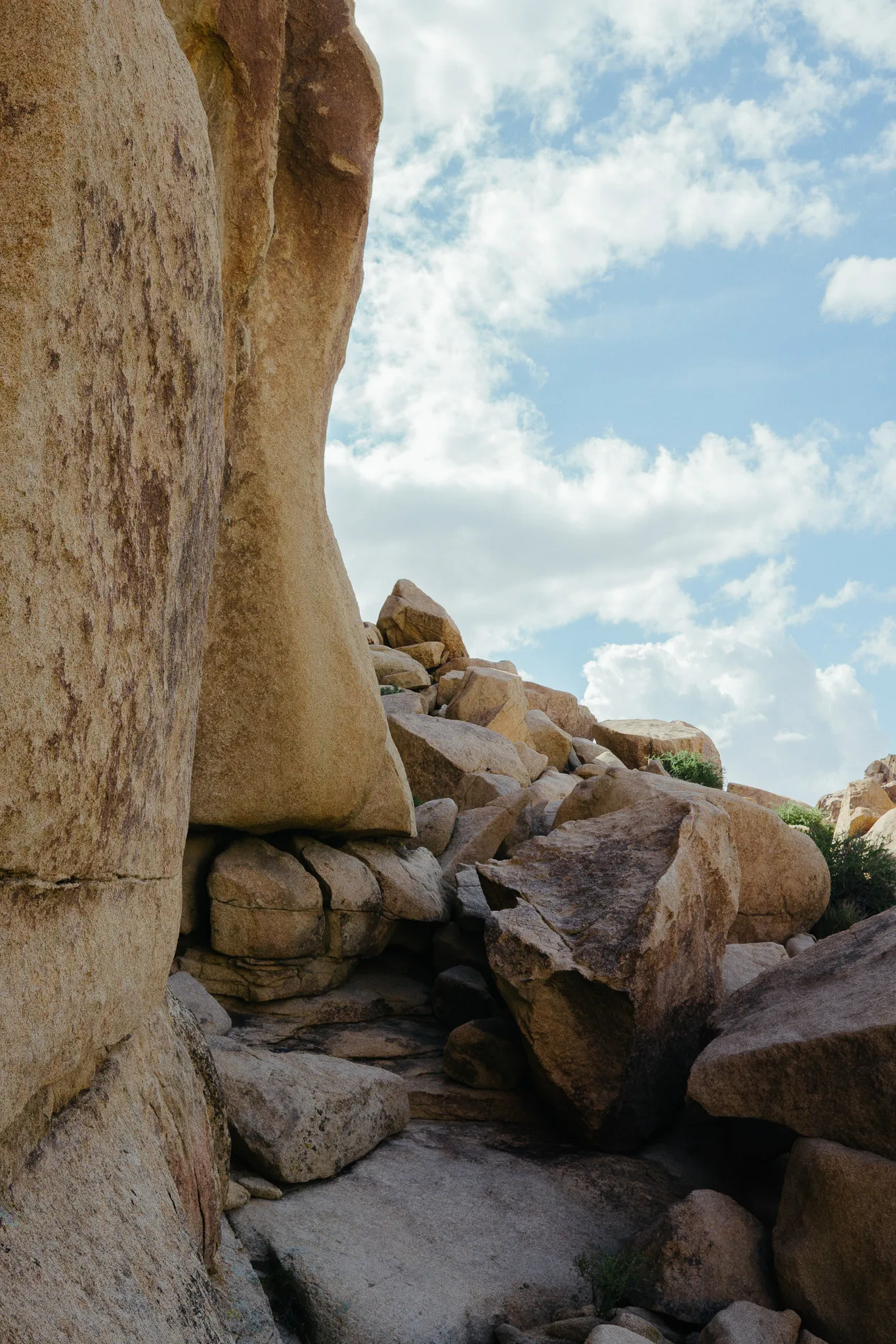 Tall granite boulders and sparse desert shrubs under a bright blue sky in Joshua Tree