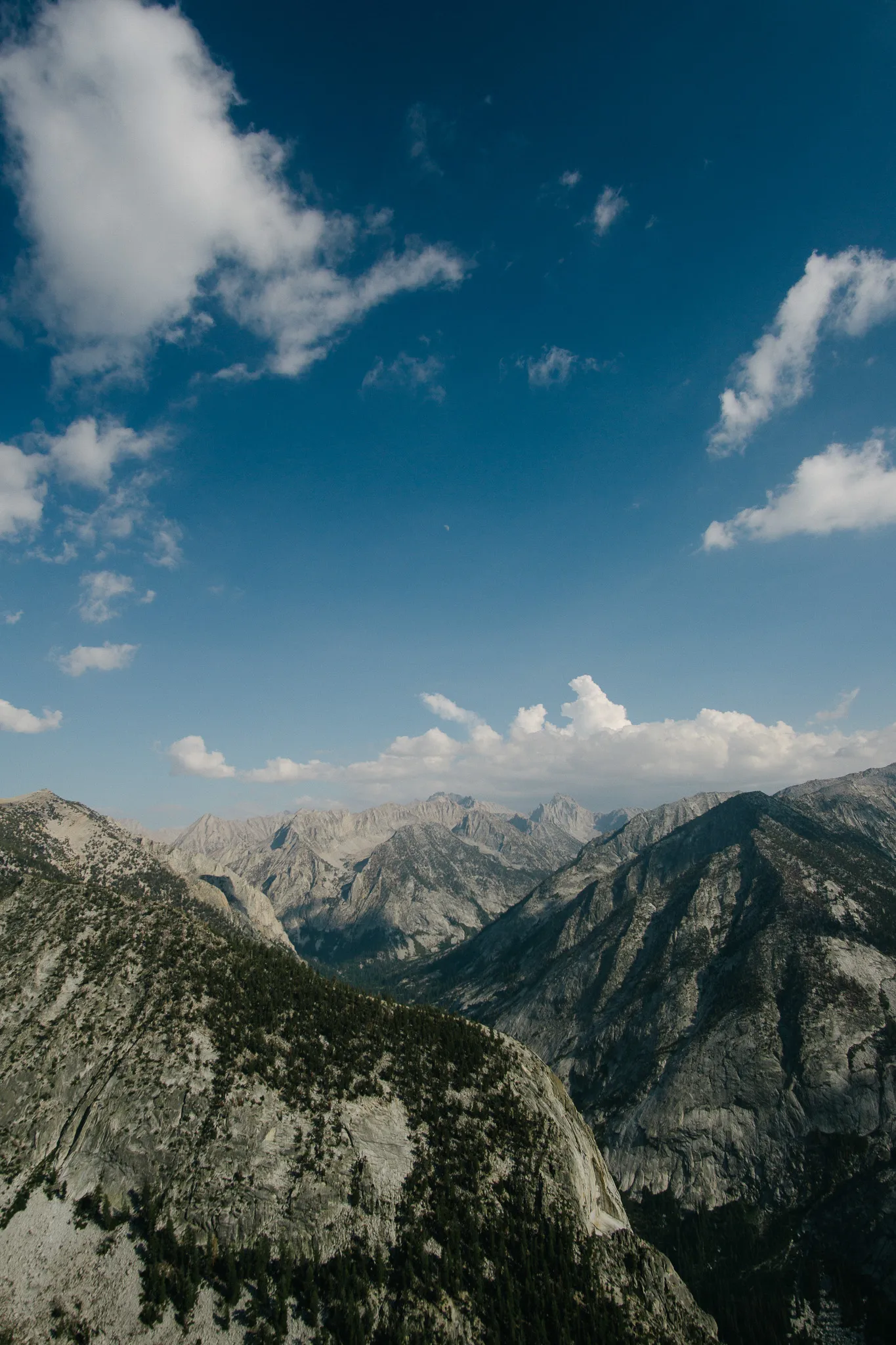 Jagged Sierra Nevada peaks and forested slopes under a clear blue sky